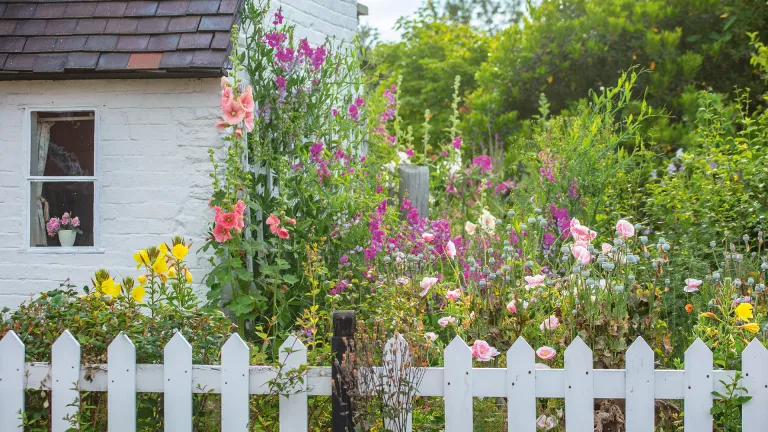 Home garden fence improvement 